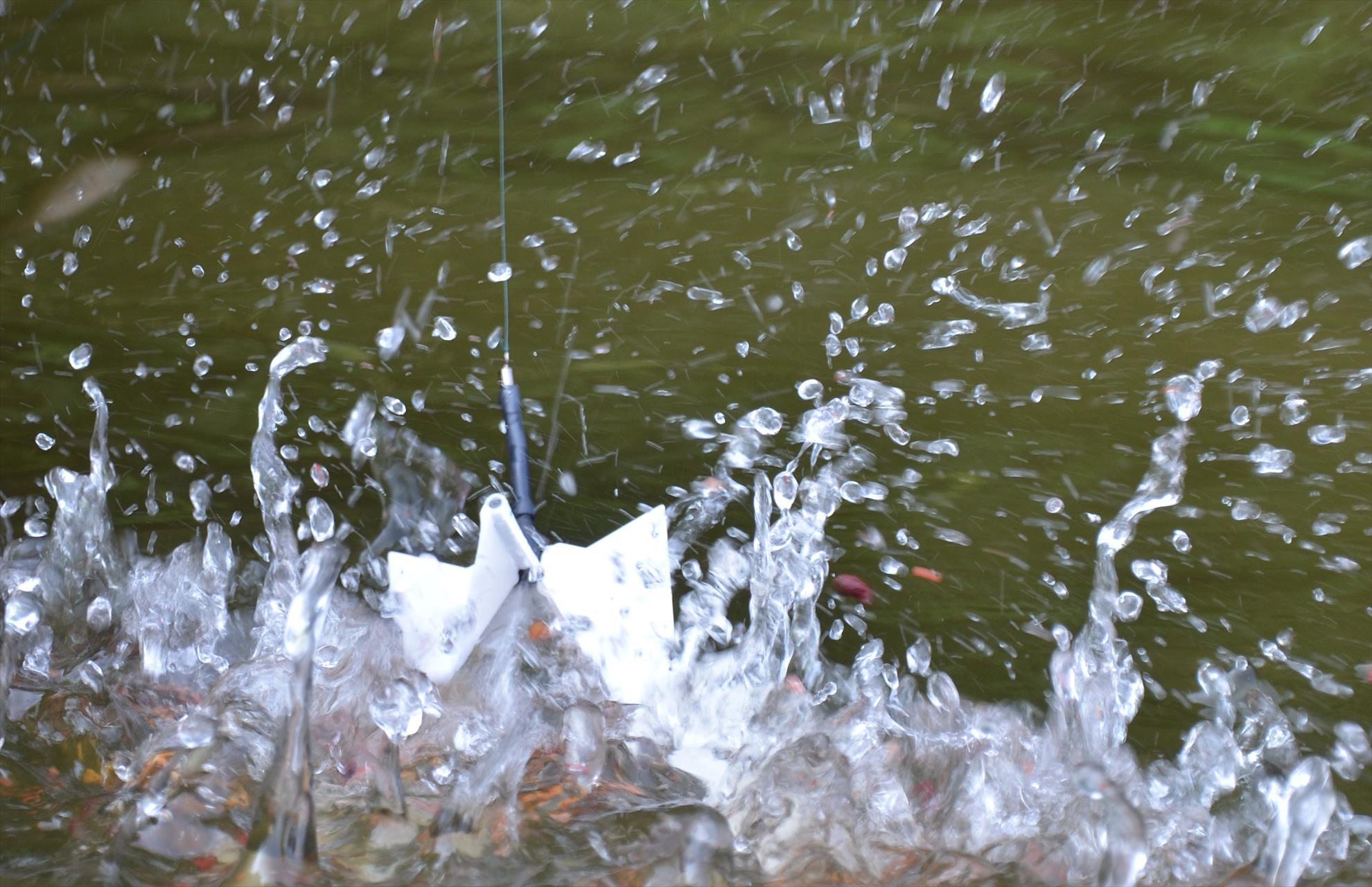 Momeli miscatoare la crap.